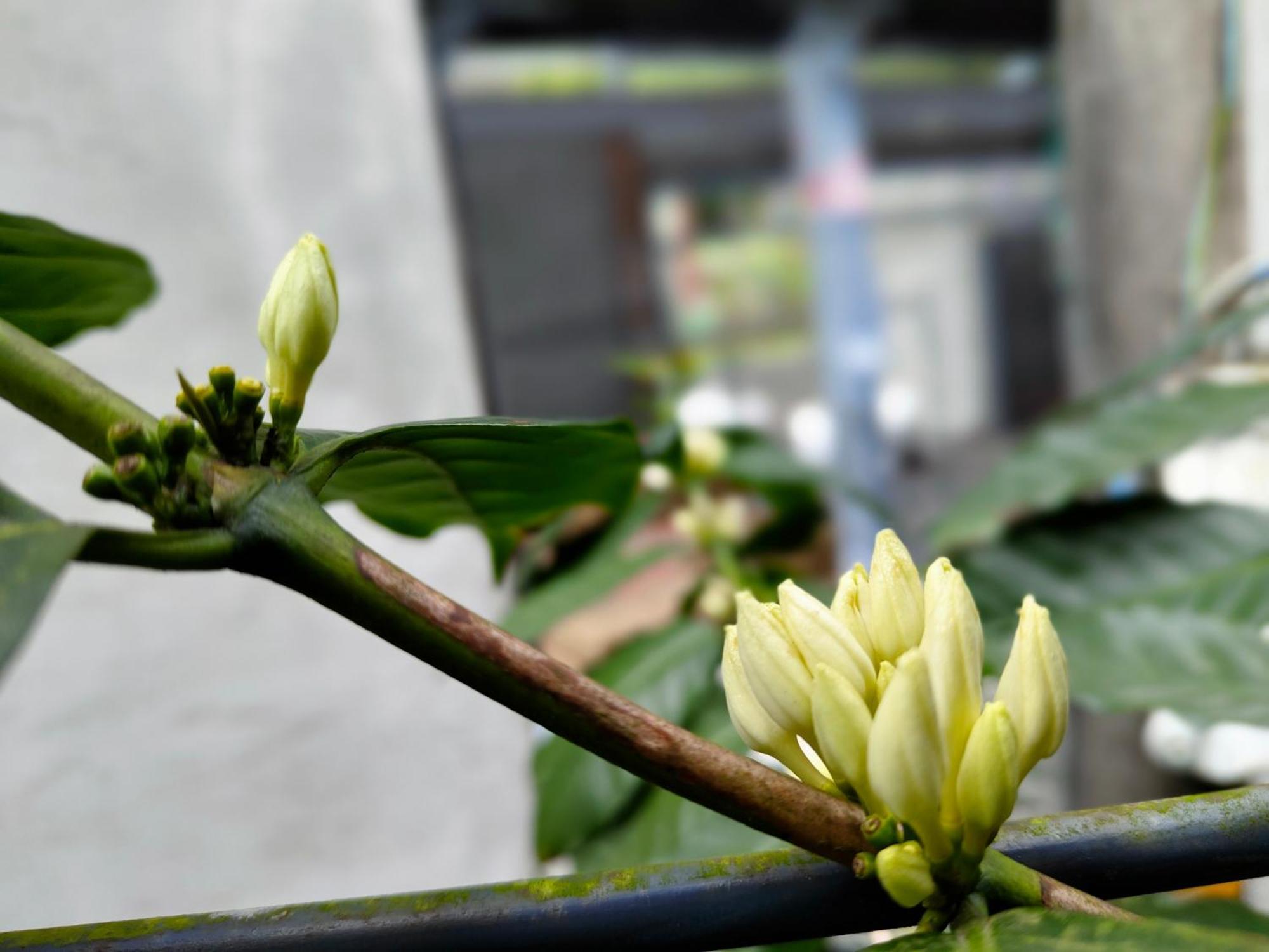 Slow House Fanlu Ngoại thất bức ảnh